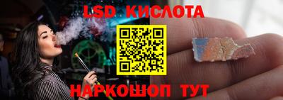 крисы Дубна