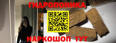 крисы Дубна