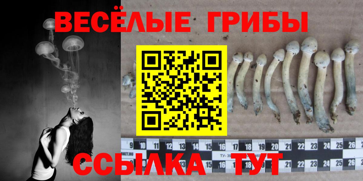 Галлюциногенные грибы мухоморы Надым
