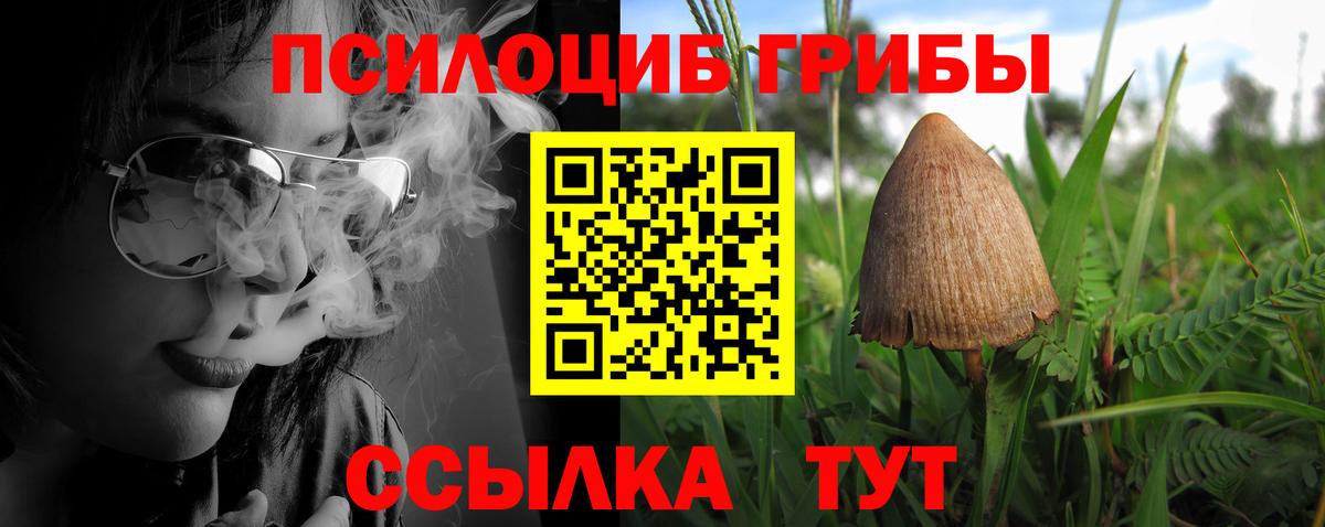 как найти закладки  Псилоцибиновые грибы MAGIC MUSHROOMS  Вход с VPN  Псилоцибиновые грибы MAGIC MUSHROOMS  Надым 