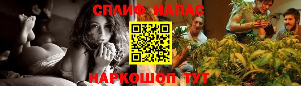 Бошки Шишки SATIVA & INDICA Надым
